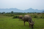 A SIMPLE BUT COLORFUL VIETNAM THROUGH THE LENS OF A FOREIGN TRAVELLER