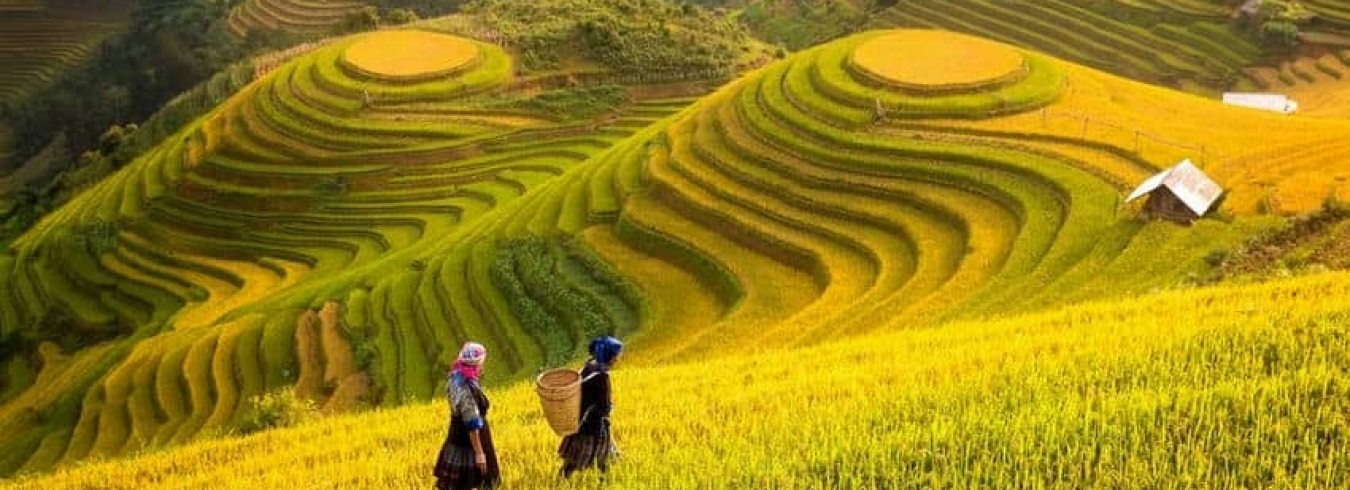 Reputed and top Tour Operator and DMC in Vietnam slider